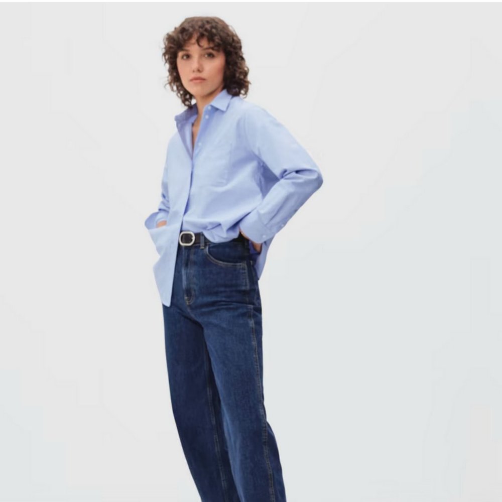 Everlane Relaxed Oxford Shirt (Size 0)